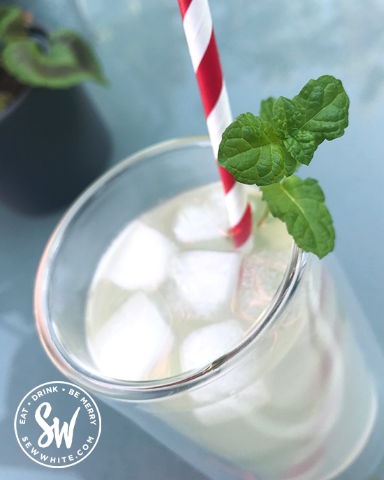 White Rum Elderflower Cocktail served with a red and white paper straw and sprig of mint.