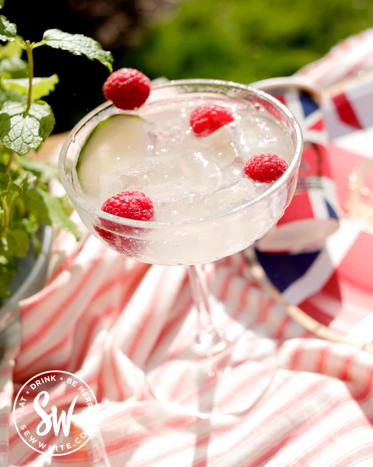 Gin Elderflower Cucumber Cocktail Coronation Cocktail 2